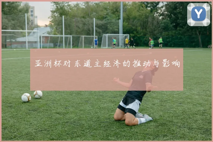 亚洲杯对东道主经济的推动与影响